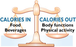 Calorie Scales