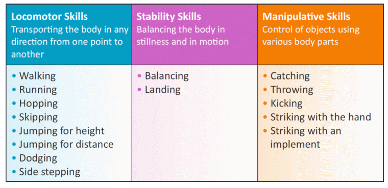 Fundamental Movement Skills