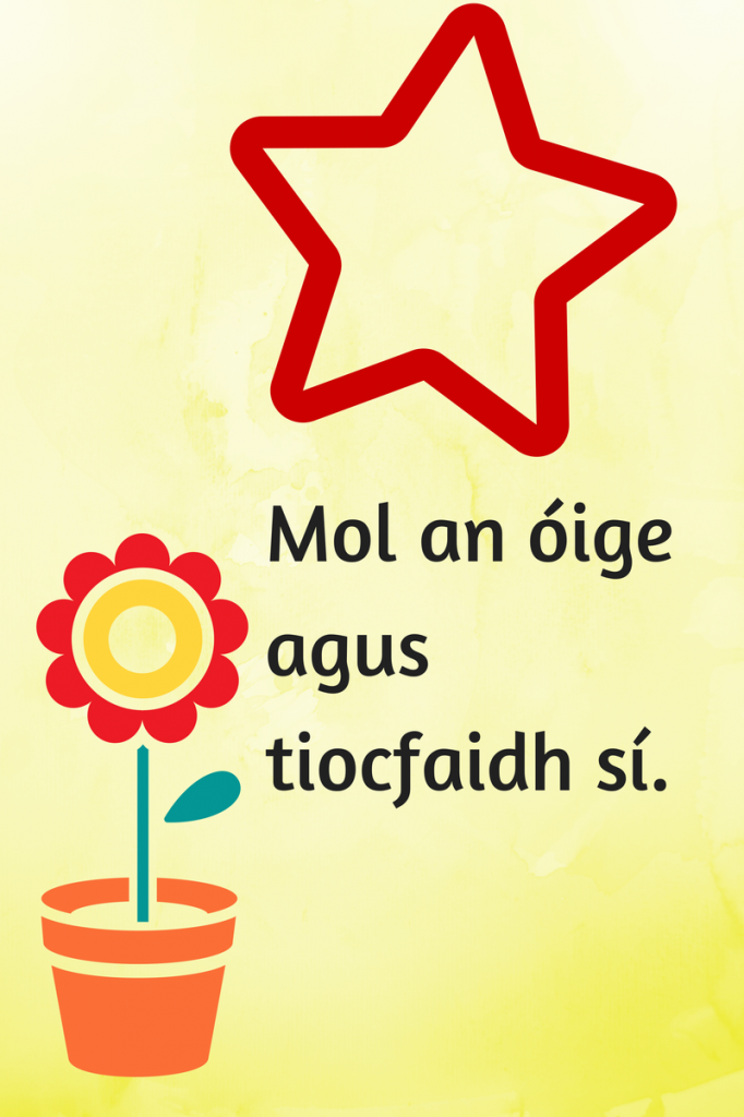 Mol An Oige